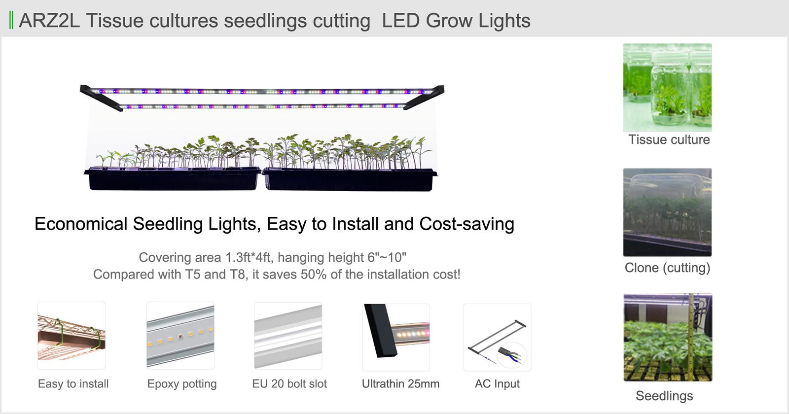 Koray ARZ2L Tissue cultures seedlings cutting Horticulture Lighting LED  2