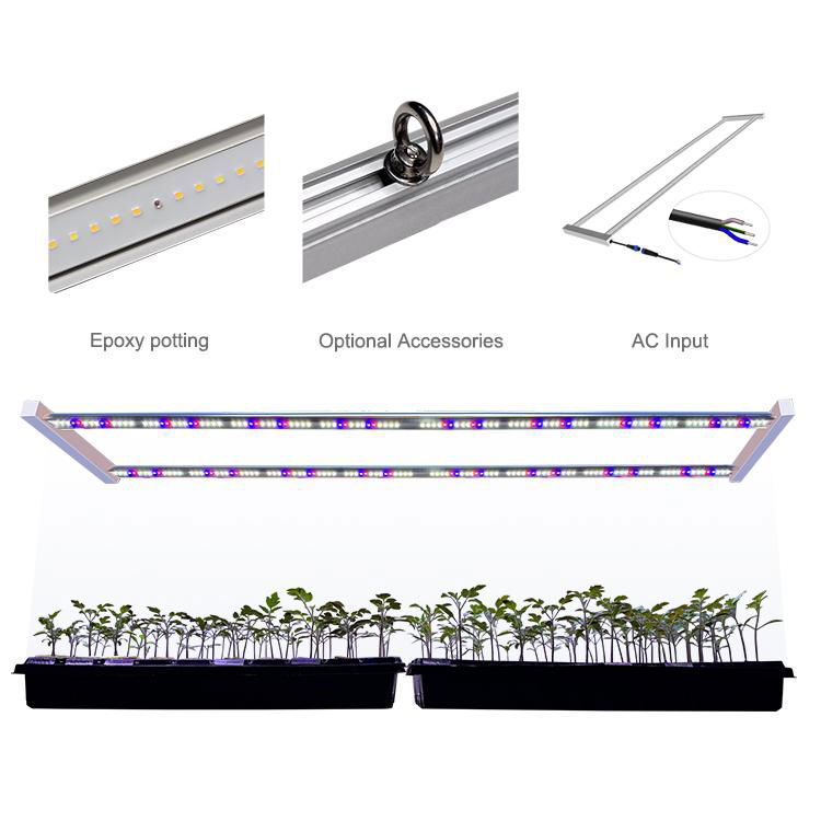 Koray ARZ2L Tissue cultures seedlings cutting Horticulture Lighting LED 