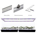 Koray ARZ2L Tissue cultures seedlings