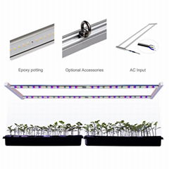 科瑞ARZ2L育苗組培雙排LED植物燈