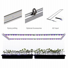 科瑞ARZ2L育苗组培双排LED植物灯