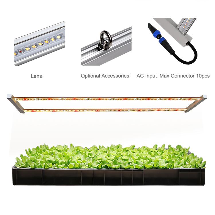 ARZ2H Container Hydroponic vegetables Farm Plant factory Micro Green 