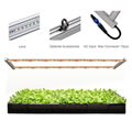 ARZ2H Container Hydroponic vegetables Farm Plant factory Micro Green  1