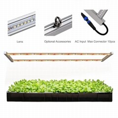 ARZ2H Container Hydroponic vegetables Farm Plant factory Micro Green