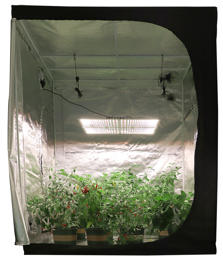 G6000-2H科瑞可调光谱高均匀植物灯模组 4