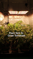 G550四通道植物帐篷室内种植园艺LED板专业种植者的植物灯-光谱可调