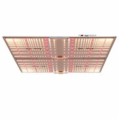 G4000 UR High uniformity LED plant grow light Gardening LED Module