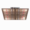 G1000 H High light uniformity series LED Grow Light to care for every 