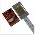 Fingerprint sensor  capacitive module