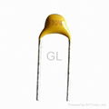 Radial Multilayer Ceramic Capacitor 2