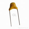 Radial Multilayer Ceramic Capacitor 3