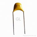 Radial Multilayer Ceramic Capacitor 4