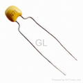 Radial Multilayer Ceramic Capacitor 5