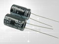 Radial Aluminum Electrolytic Capacitors 1