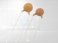 Ceramic Disc Capacitor with High Stability of Capacitance 1