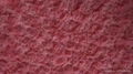 fine polyester knitted PV plush fleece with dull yarn embossed rose patten