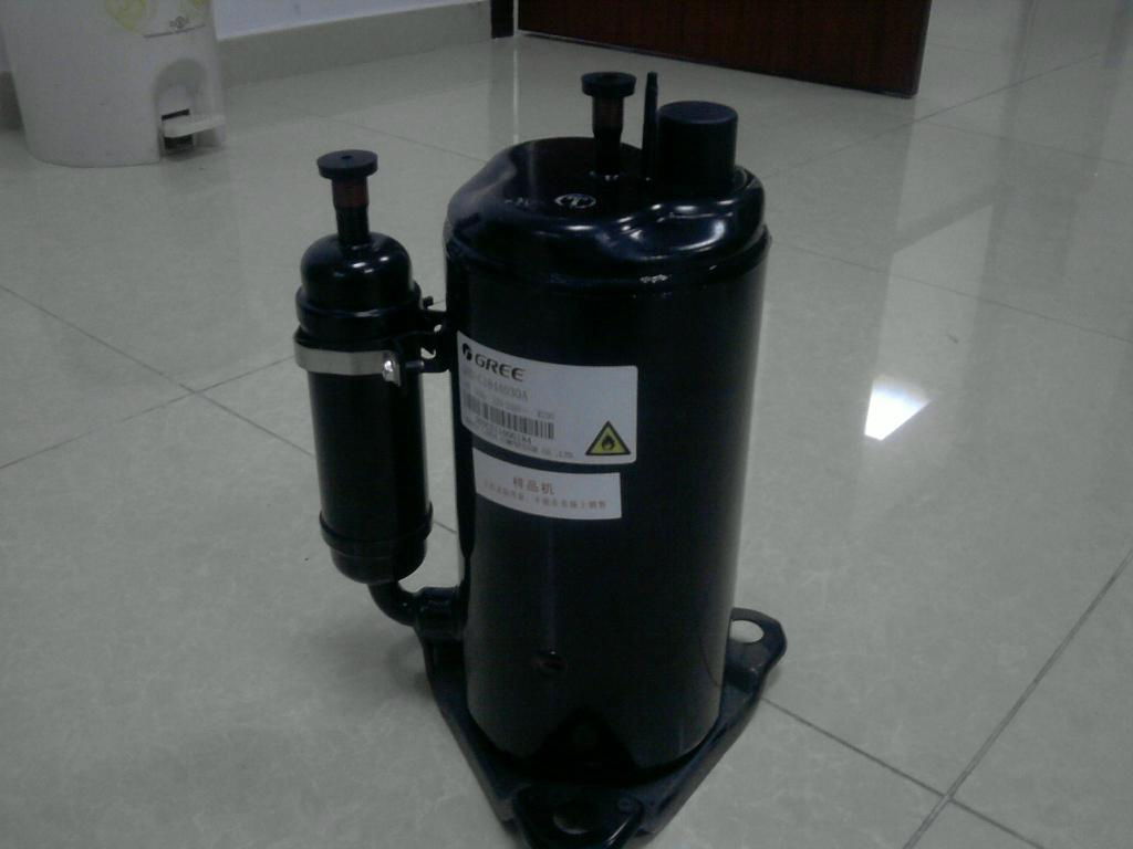 R290 compressor 2