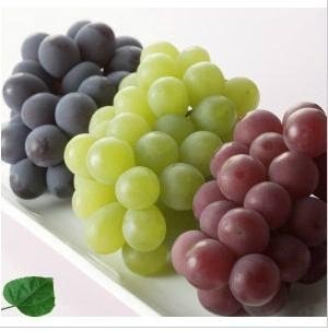 Fresh Grape Red and Green Grapes 