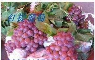 Fresh Grape Red and Green Grapes  3