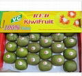 Fresh Kiwi Fruit  2