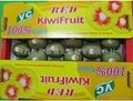 Fresh Kiwi Fruit  3