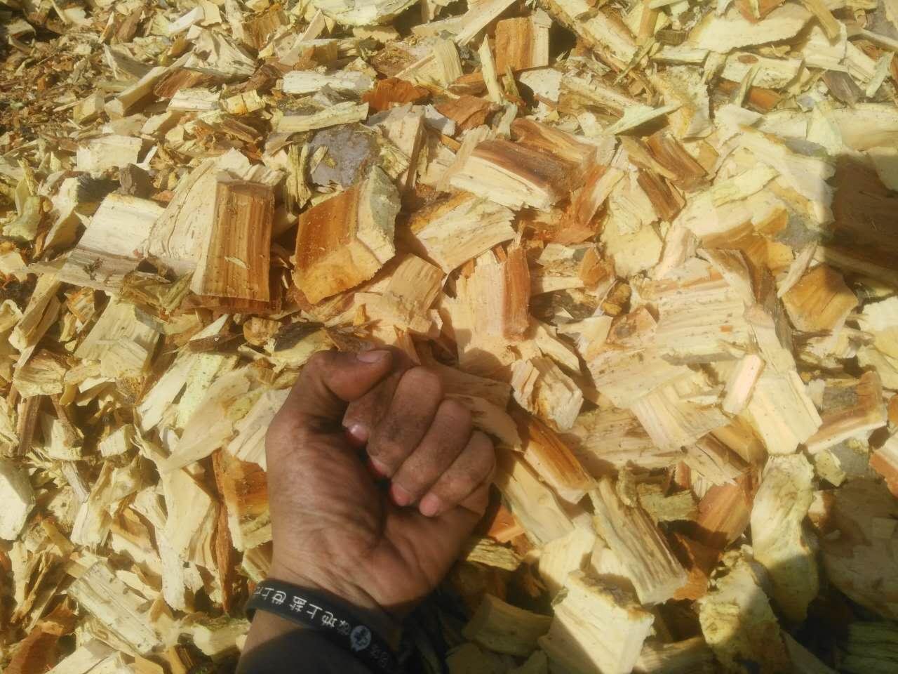 果木鋸末，楊木木片，燒鍋爐用木片供應中 3