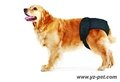 Female Pup Pants, Dog Diaper 1