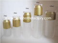 Frost Glass Lotion Bottle With Cap 2