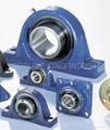 SKF BALL AND ROLLER BEARINGS 4