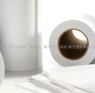 PP Synthetic Paper in China