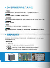 德纳森煤锅炉替代蒸汽发生器