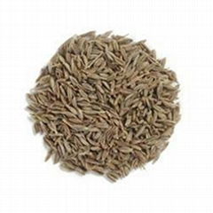 Cumin Seeds