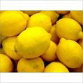 Fresh Lemon