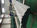 boiler tube