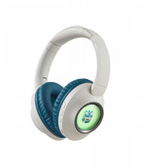 FM Stereo Radio Headphones with mp3 player