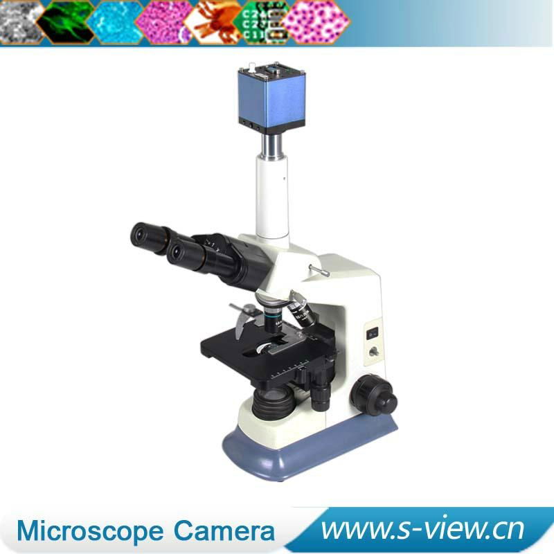 New design VGA video camera micrscope camera 2