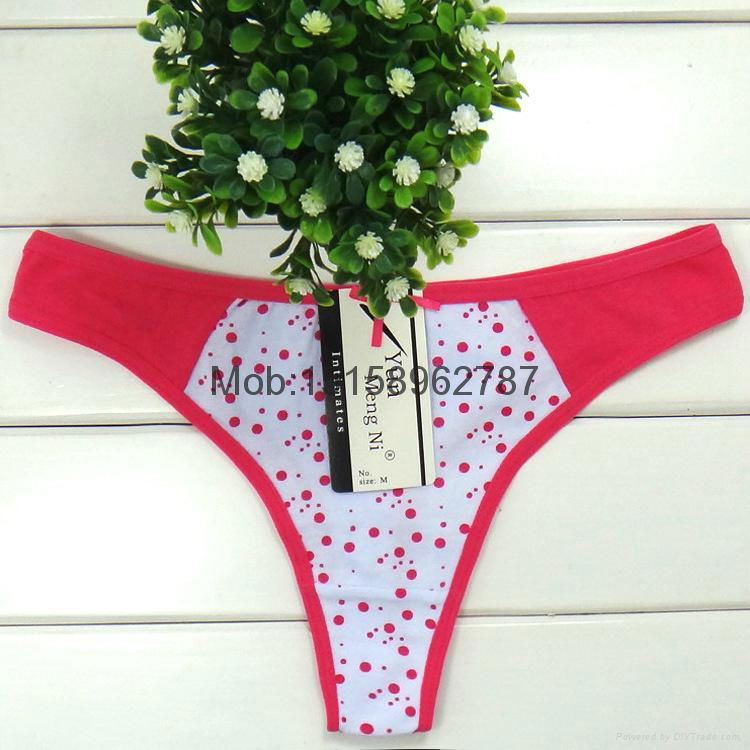  jeans g-string sexy little dotted cotton thong women sexy t-back lady panties 4