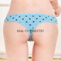  star print cotton g-string