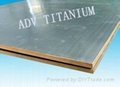 Titanium plate 3