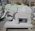 曲陽石雕大象 3