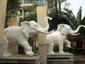 曲陽石雕大象 4