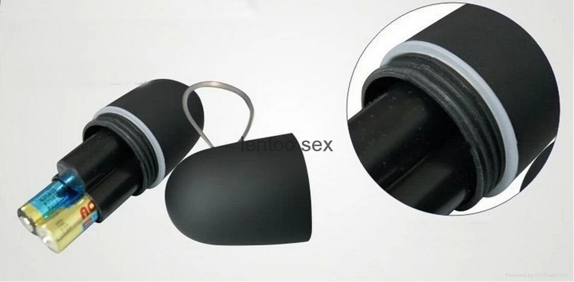 MP3 Remote Control Vibrating Jump Egg 20 Speeds Wireless Vibrator Bullet Sex  2