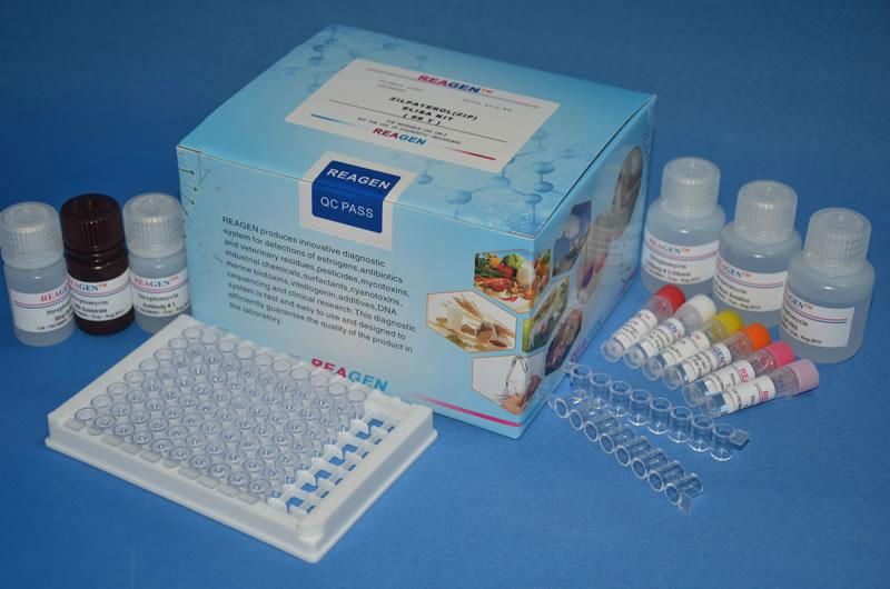黃曲霉毒素B1檢測試劑盒