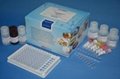 玉米赤霉烯酮ELISA检测试剂盒