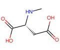 N-甲基-D-天冬氨酸 1