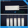 High Temperature Alumina Ceramic Heater/Innovacera 5