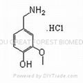 分子结构式