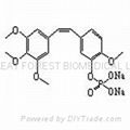 Combretastatin A4 disodium phosphate