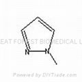 Molecular Formula