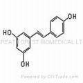 專利產品白藜蘆醇（501-36-0） 5